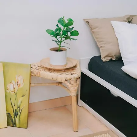 Pm Apartamento